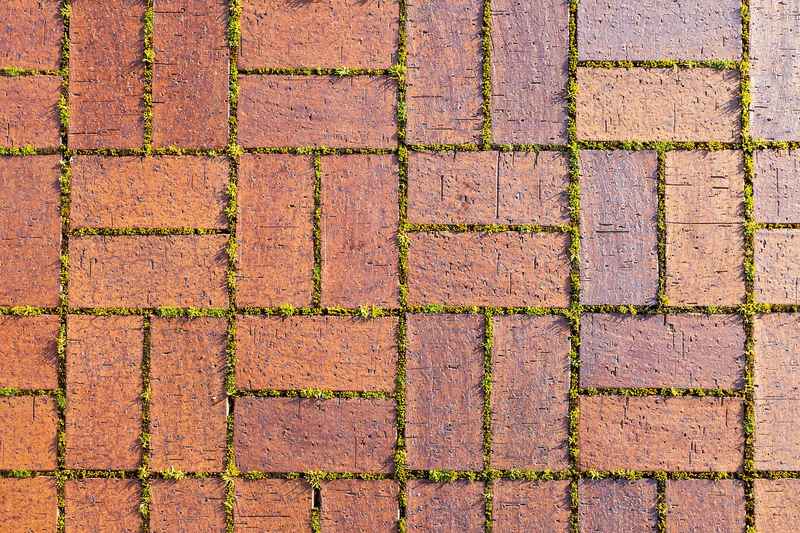 Kostka porośnięta mchem Kostka porośnięta mchem